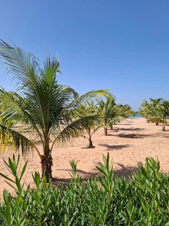 Pool Hotel Riu Baobab - All Inclusive