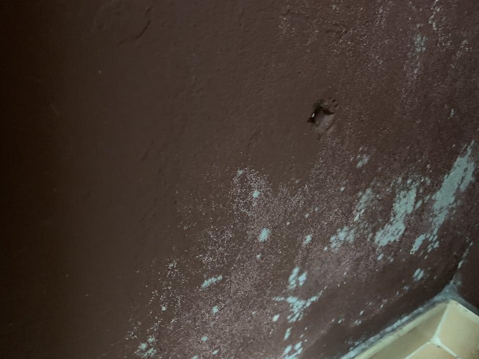 Zimmer Hotel Riu Touareg