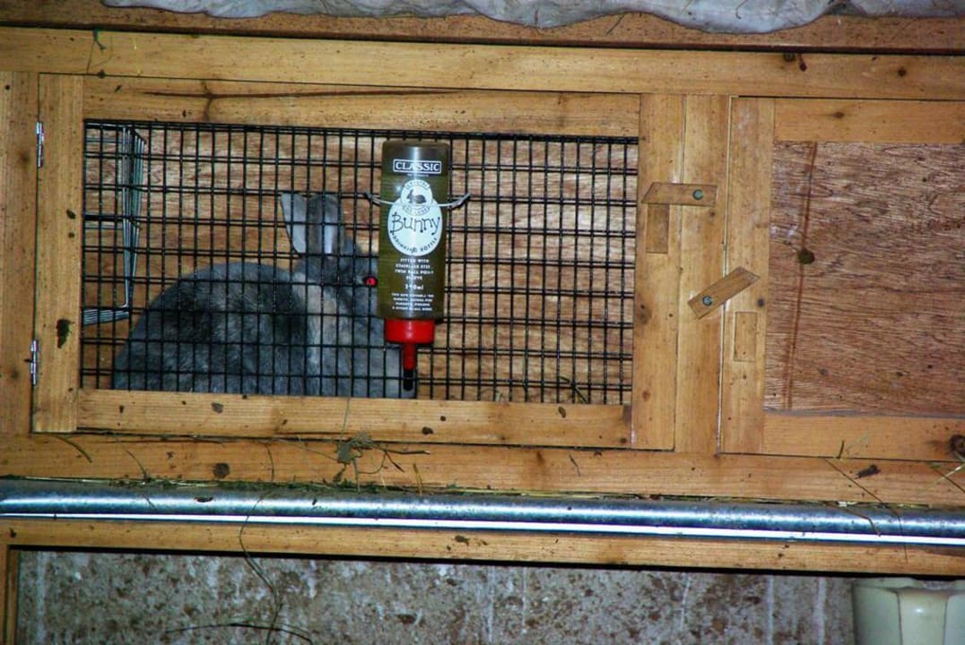 Hasen Ferienheim Foischinghof