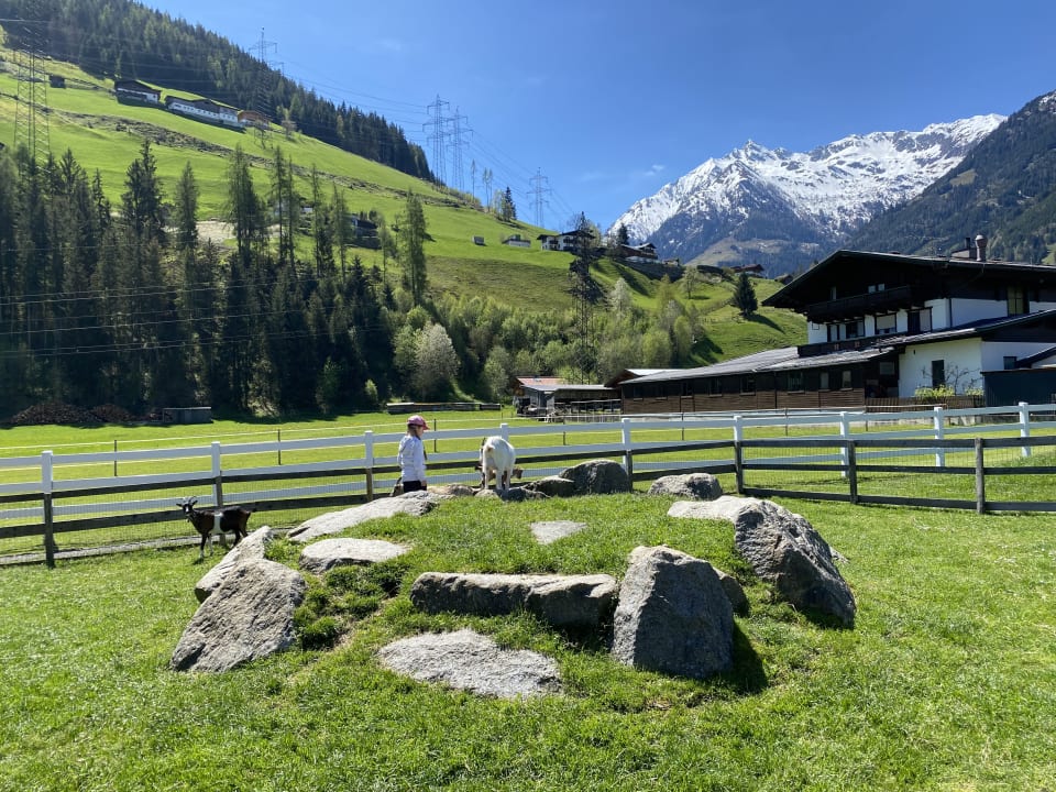 Gartenanlage Kinderhotel Felben