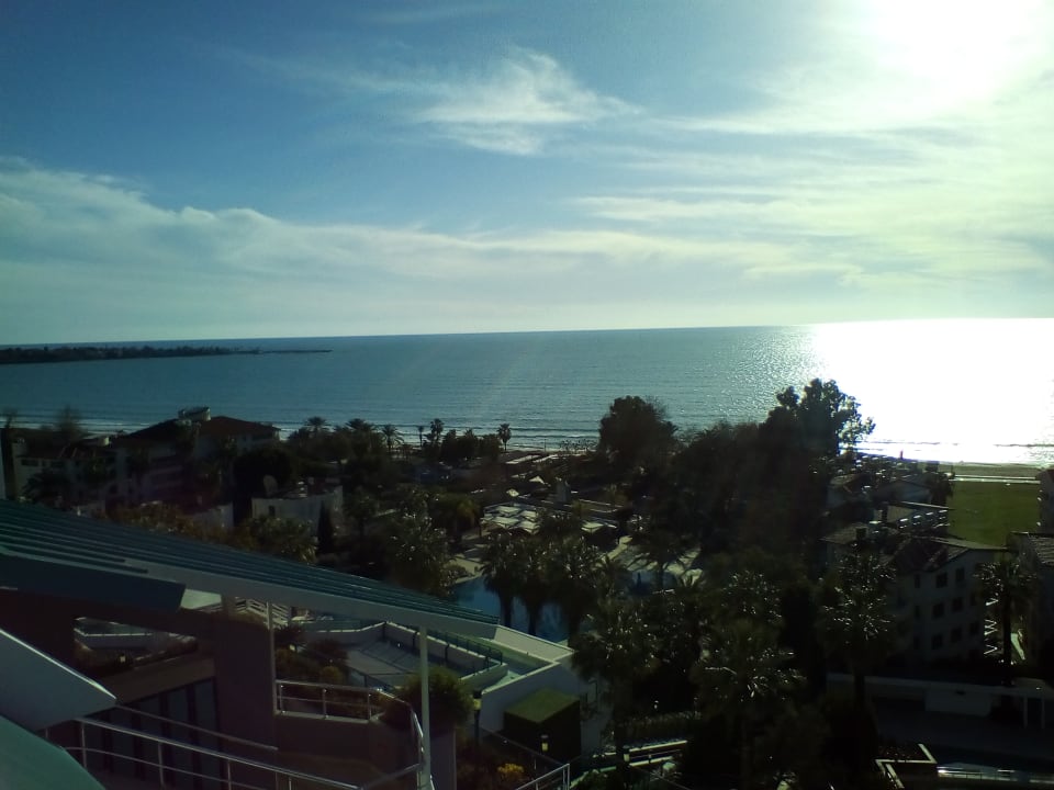 Zimmer Side Star Elegance