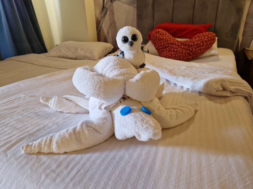 Zimmer Three Corners Sea Beach Resort