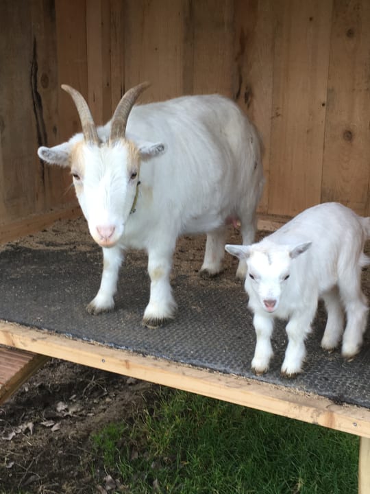 Sonstiges Ferienwohnung Heissenhof