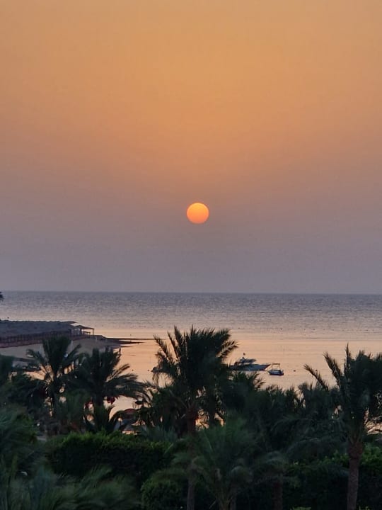 Außenansicht Fort Arabesque Resort, Spa & Villas