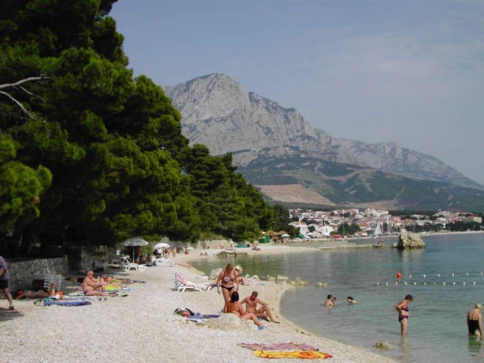 Kieselstrand Bluesun Hotel Berulia