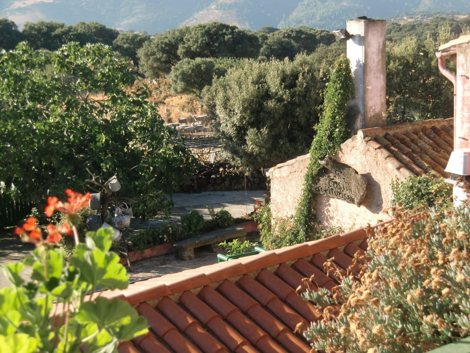 Ausblick zum Innenhof Agriturismo Costiolu