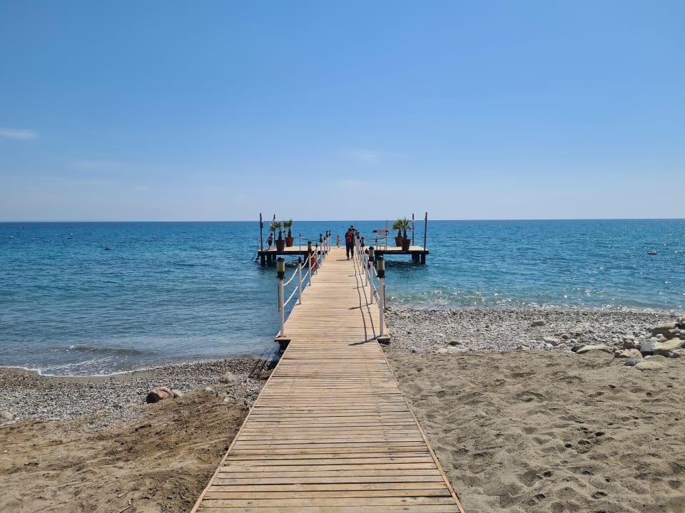 Strand Balmy Foresta