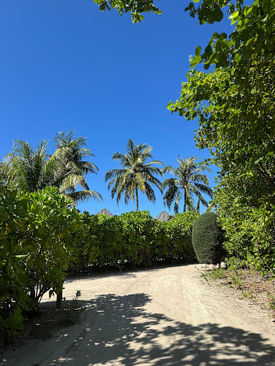 Gartenanlage Kuredu Island Resort & Spa