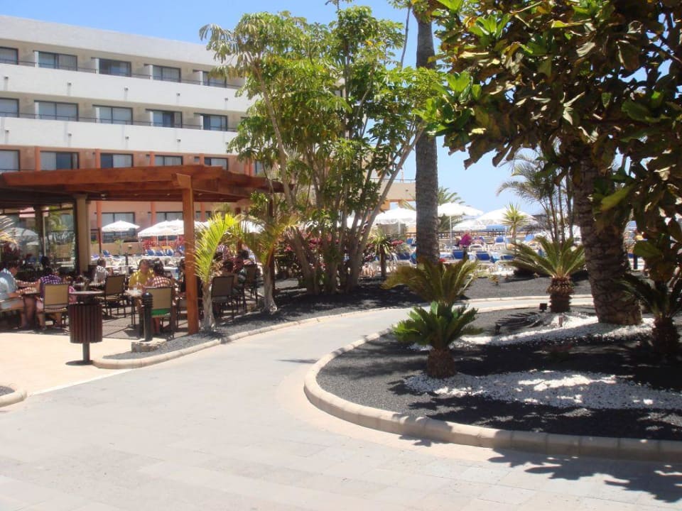 Garten Iberostar Waves Playa Gaviotas