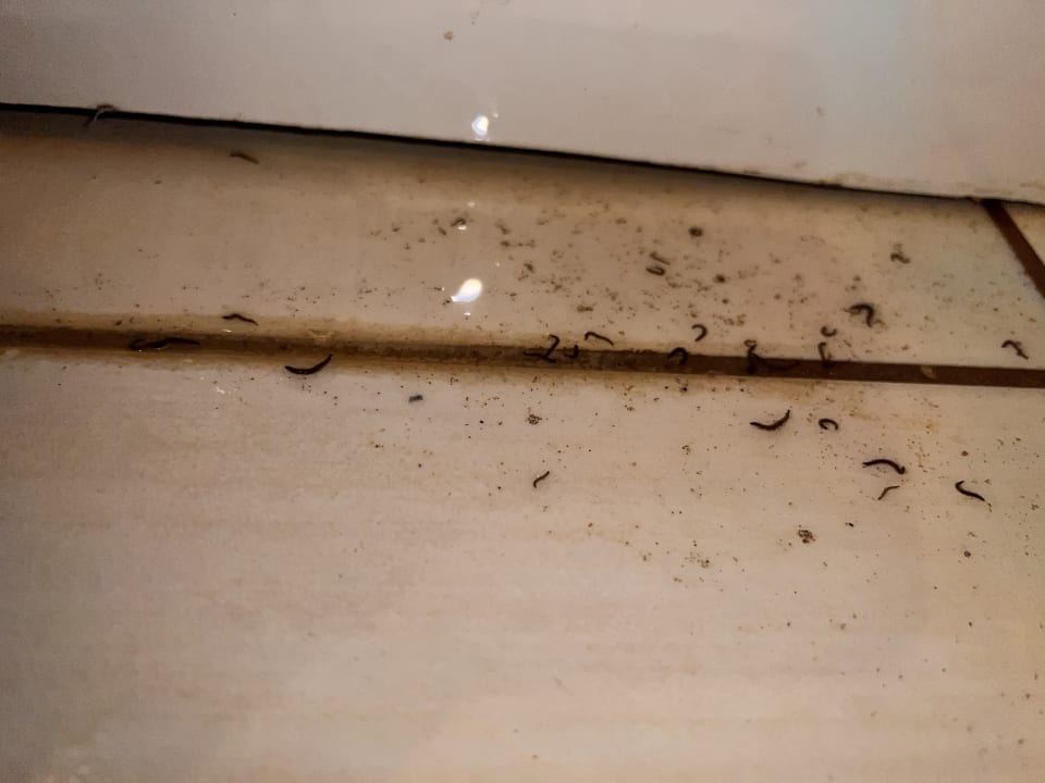 Zimmer Asteria Family Belek