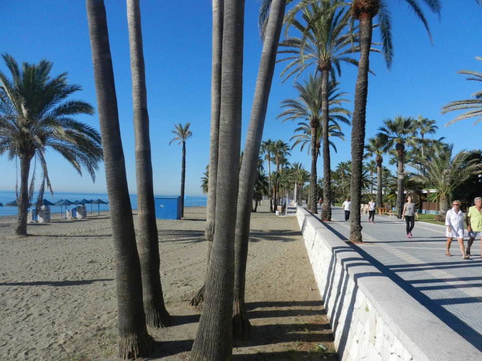 Strand Promenade, sehr gepflegt Globales Cortijo Blanco