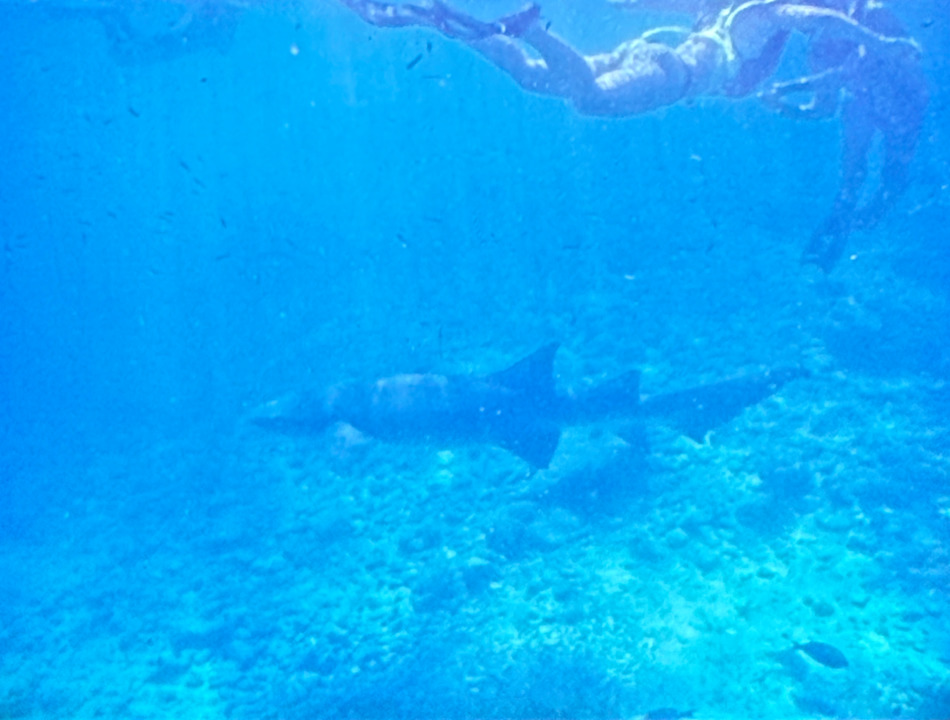 Sport & Freizeit SENTIDO OBLU Helengeli