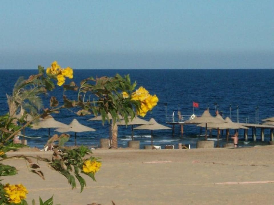 Blick von der Gartenlandschaft zum Meer Three Corners Sea Beach Resort