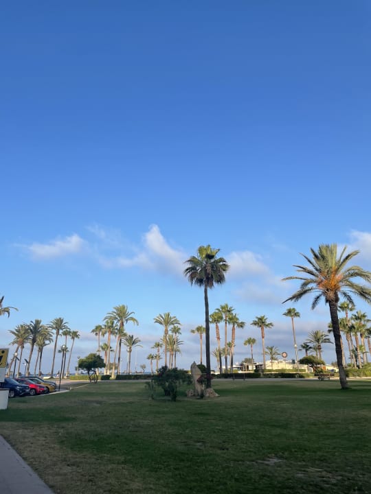 Ausblick allsun Hotel Bahia del Este