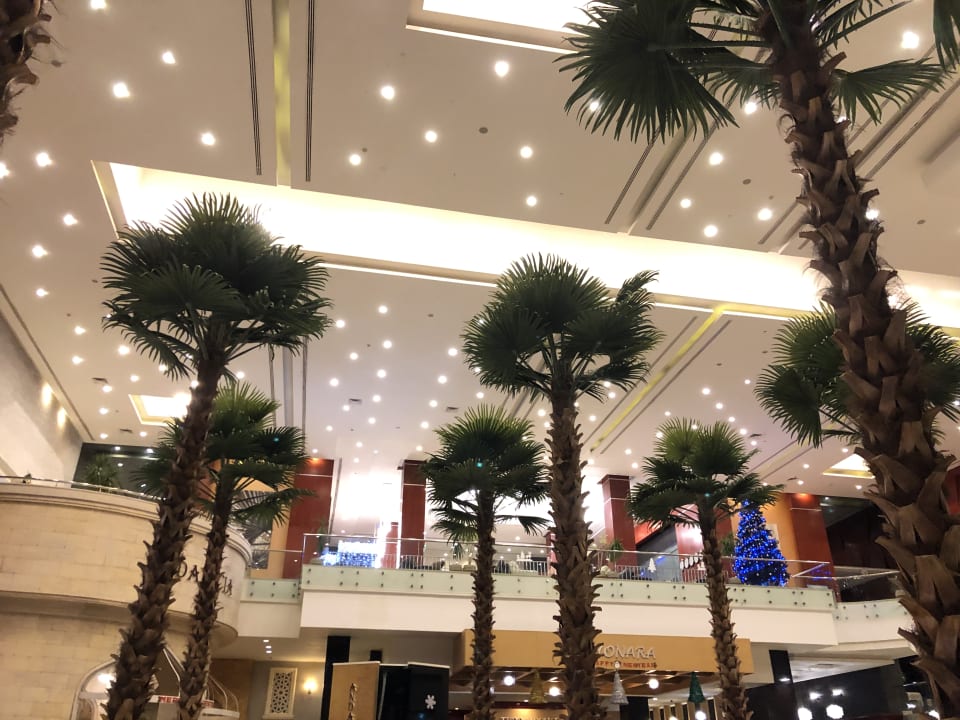 Lobby Serenity Alma Heights