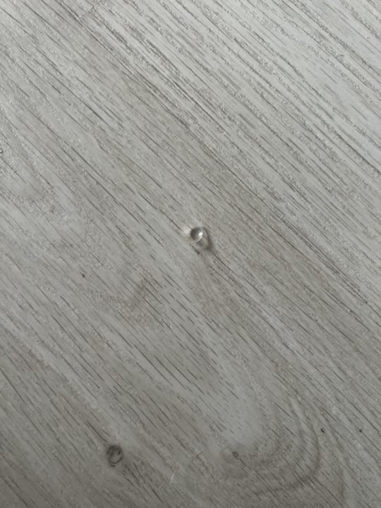 Zimmer Alcudia Garden Aparthotel