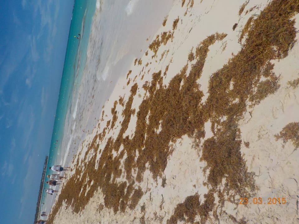 War einmal in den drei Wochen a,, nm wars weg Grand Palladium Select Bávaro Resort & Spa