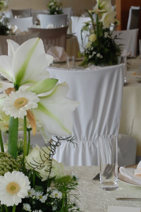Sonstiges Hotel Palace, Sunny Day Resort