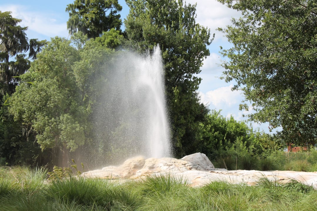 Geysir Disney's Wilderness Lodge