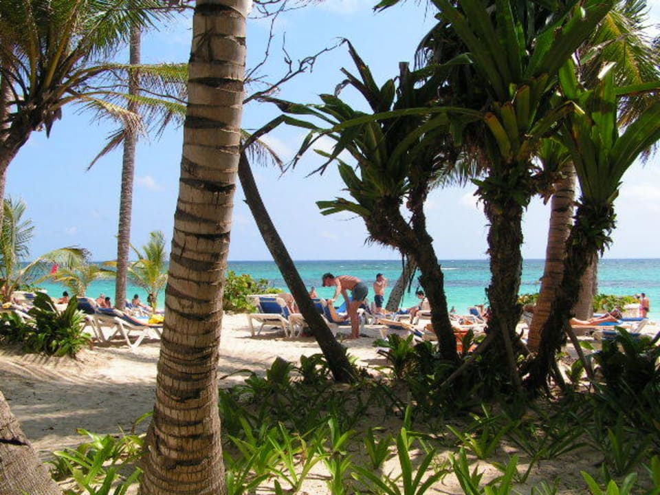 Am Strand Hotel Riu Palace Bavaro