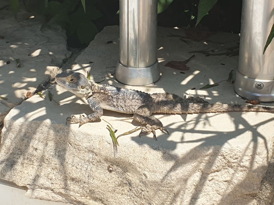 Sonstiges Labranda Alantur Resort