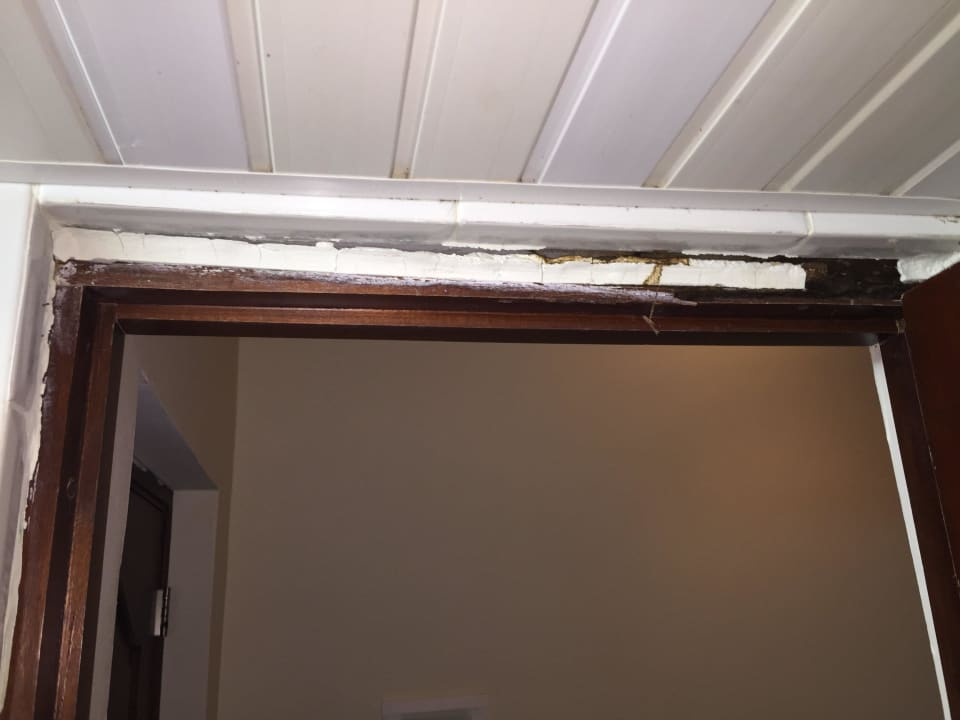 1. "Premium-Deluxe" Zimmer 1126 (renoviert?) Wyndham Alltra Samana