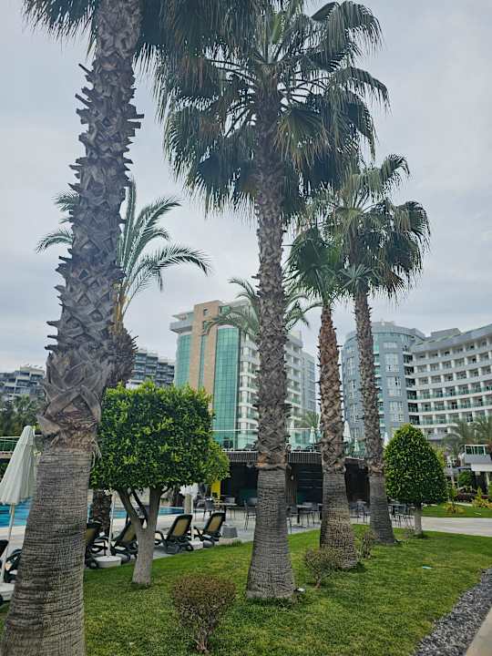 Gartenanlage Sherwood Exclusive Lara