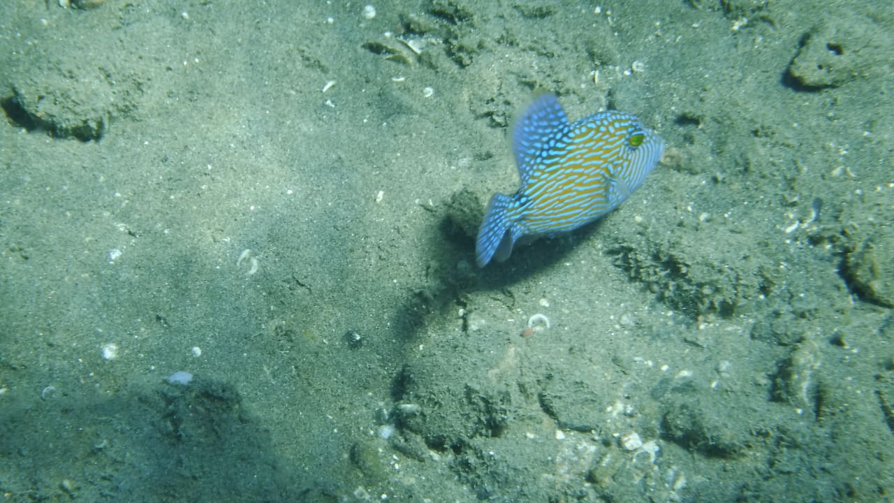 Sport & Freizeit Malikia Resort Abu Dabbab