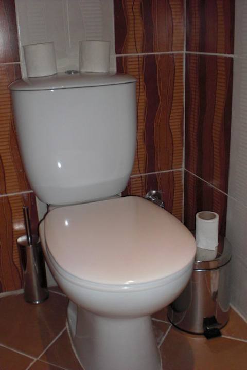 Unser bester Freund Pickalbatros Alf Leila Wa Leila Resort - Neverland Hurghada