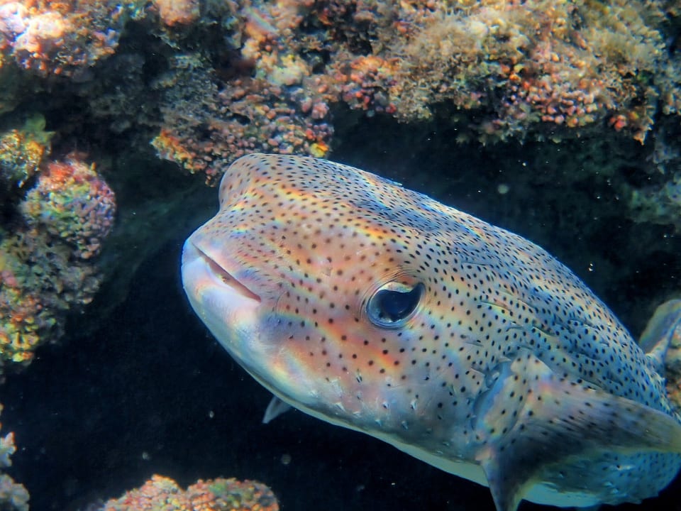 Sport & Freizeit Brayka Bay Resort