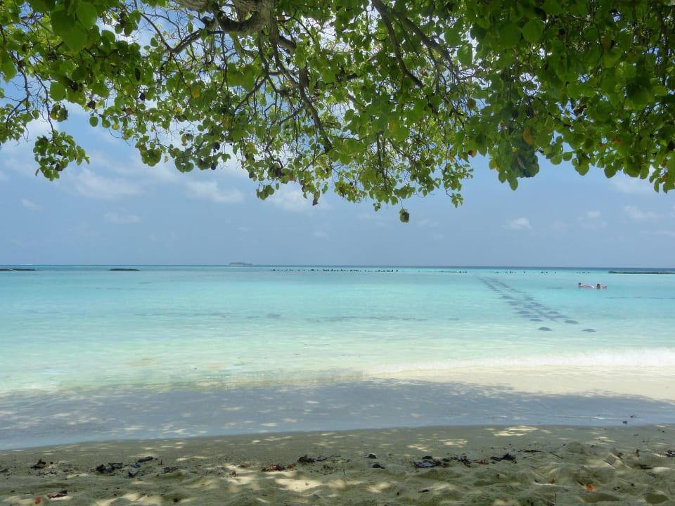 Standardbungalow 33 Summer Island Maldives