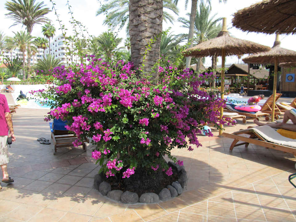 Gepflegte Gartenanlage HL Miraflor Suites Hotel