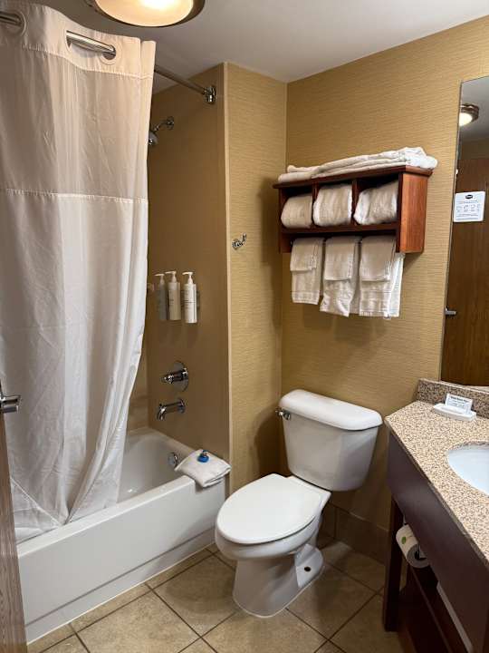 Zimmer Hampton Inn Columbus-East