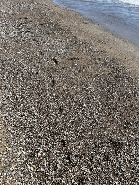 Strand Belek Beach Resort Hotel