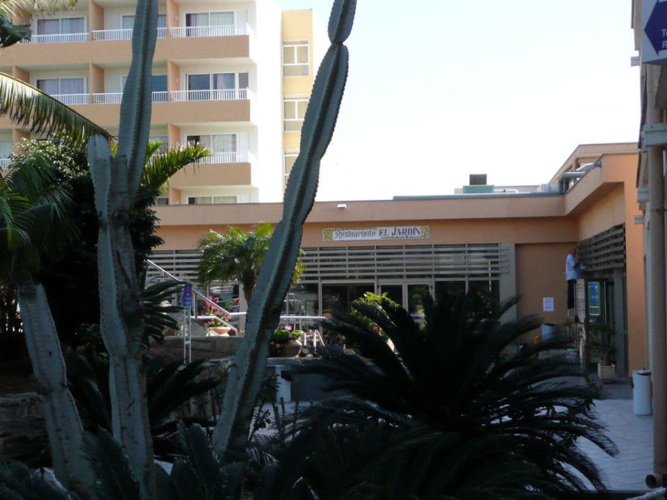 Restauracja w tle Abora Interclub Atlantic by Lopesan Hotels