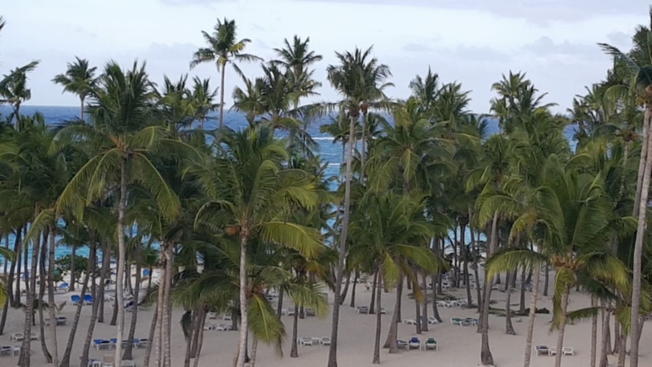 Strand Hotel Riu Palace Macao - Adults only