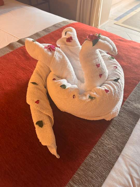 Zimmer Jaz Makadi Oasis Resort