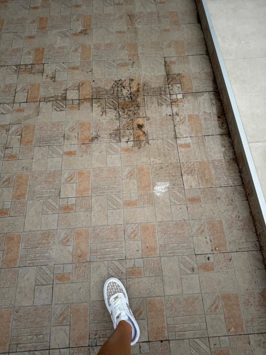 Pool Hotel Ambassador