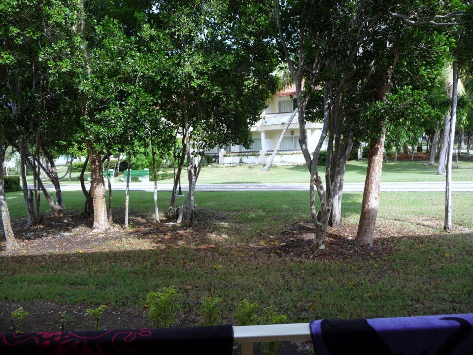 Ausblick von der Terrasse Hotel Playa Pesquero