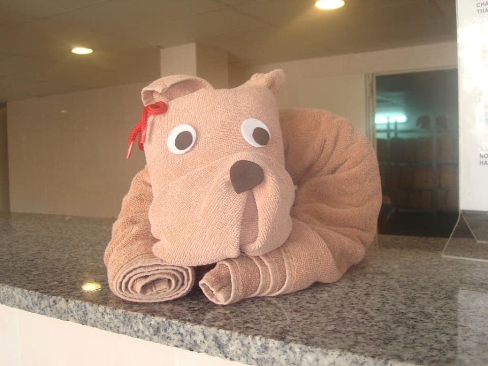 Hund aus Handtüchern Hotel Riu Buenavista
