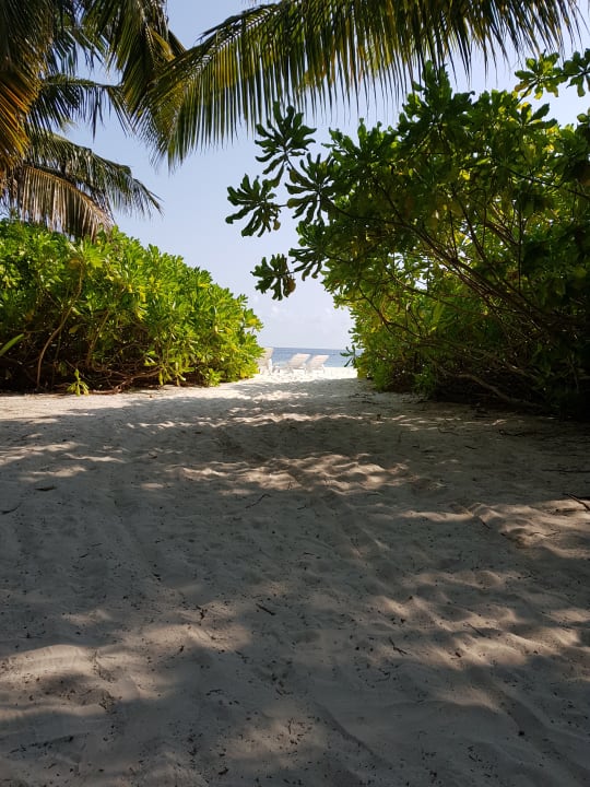 Strand Fihalhohi Maldives