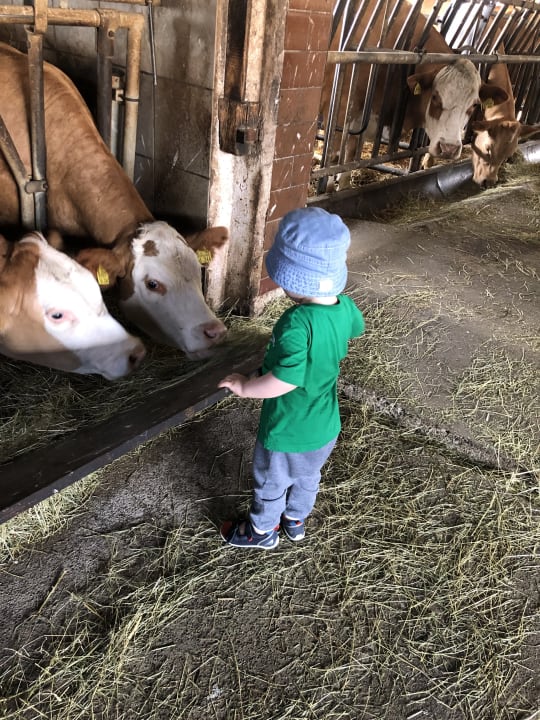 Sport & Freizeit Urlaub am Regen - Ferienhof Dirnberger