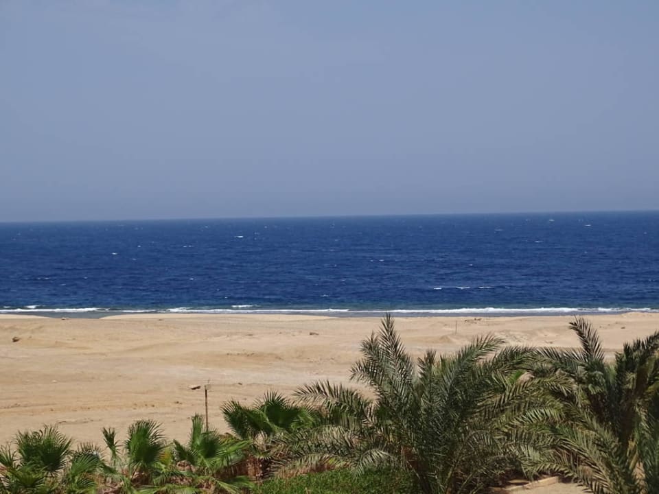 Ausblick von unseren Zimmer Steigenberger Coraya Beach - Adults only