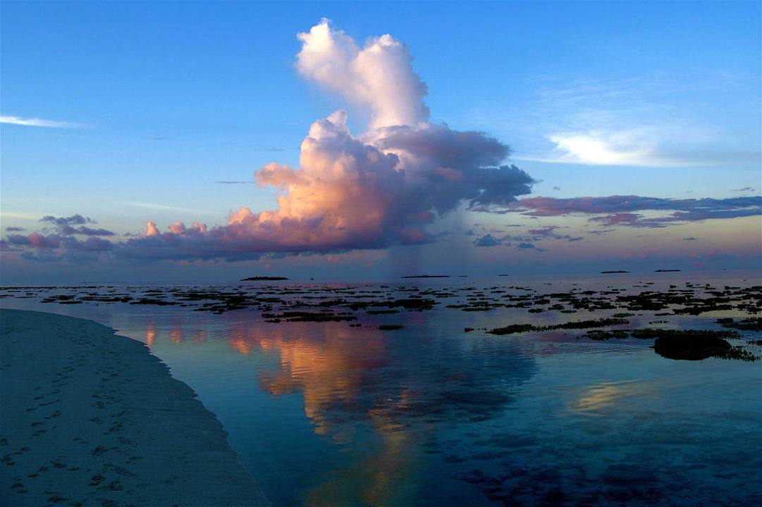 Hausriff bei Ebbe Madoogali Resort