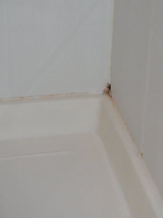 Duscheinblick  Hotel Days Inn Dessau