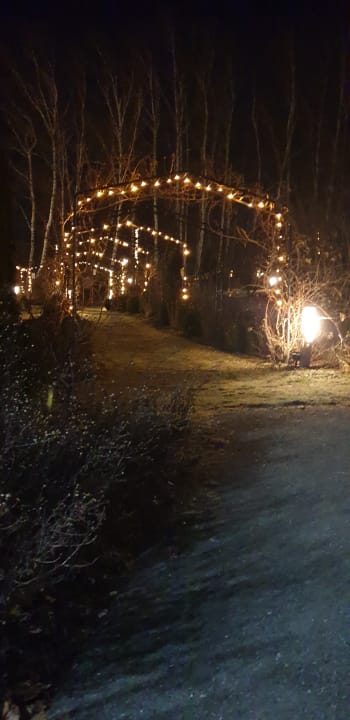 Gartenanlage Spirit & SPA Hotel Birkenhof am Elfenhain