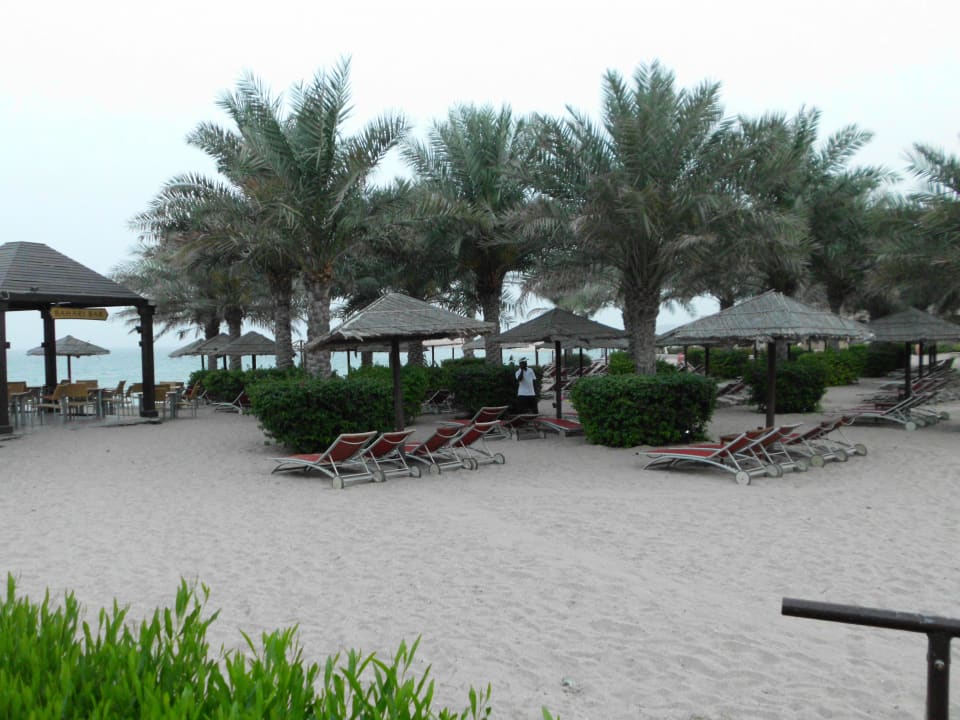 Direkt am Strand Miramar Al Aqah Beach Resort
