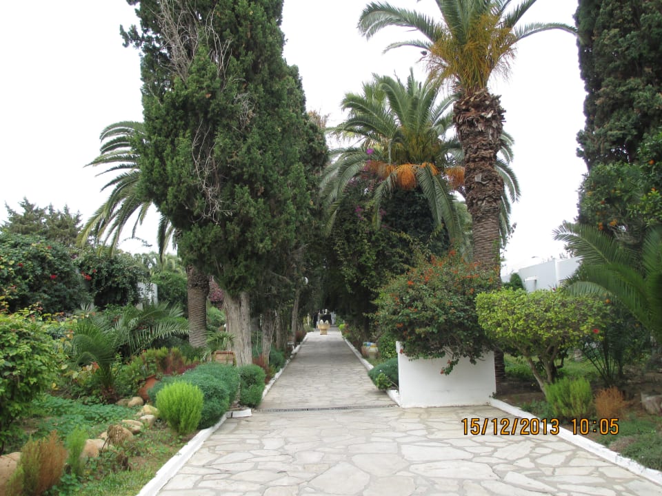 Weg zum Haupthaus The Orangers Beach Resort and Bungalows