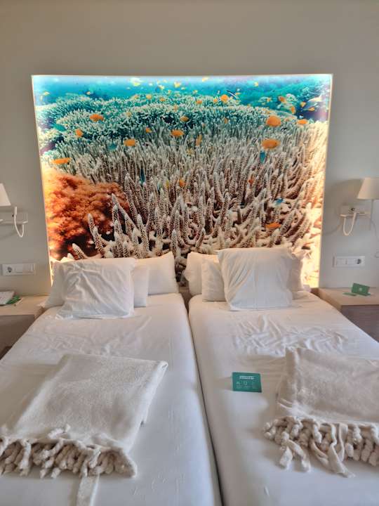 Zimmer Iberostar Selection Fuerteventura Palace