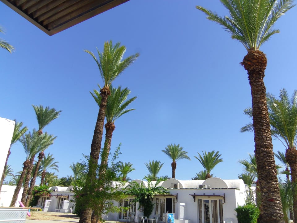 Schöne, kleine Bungalows Monarque Club Rivage